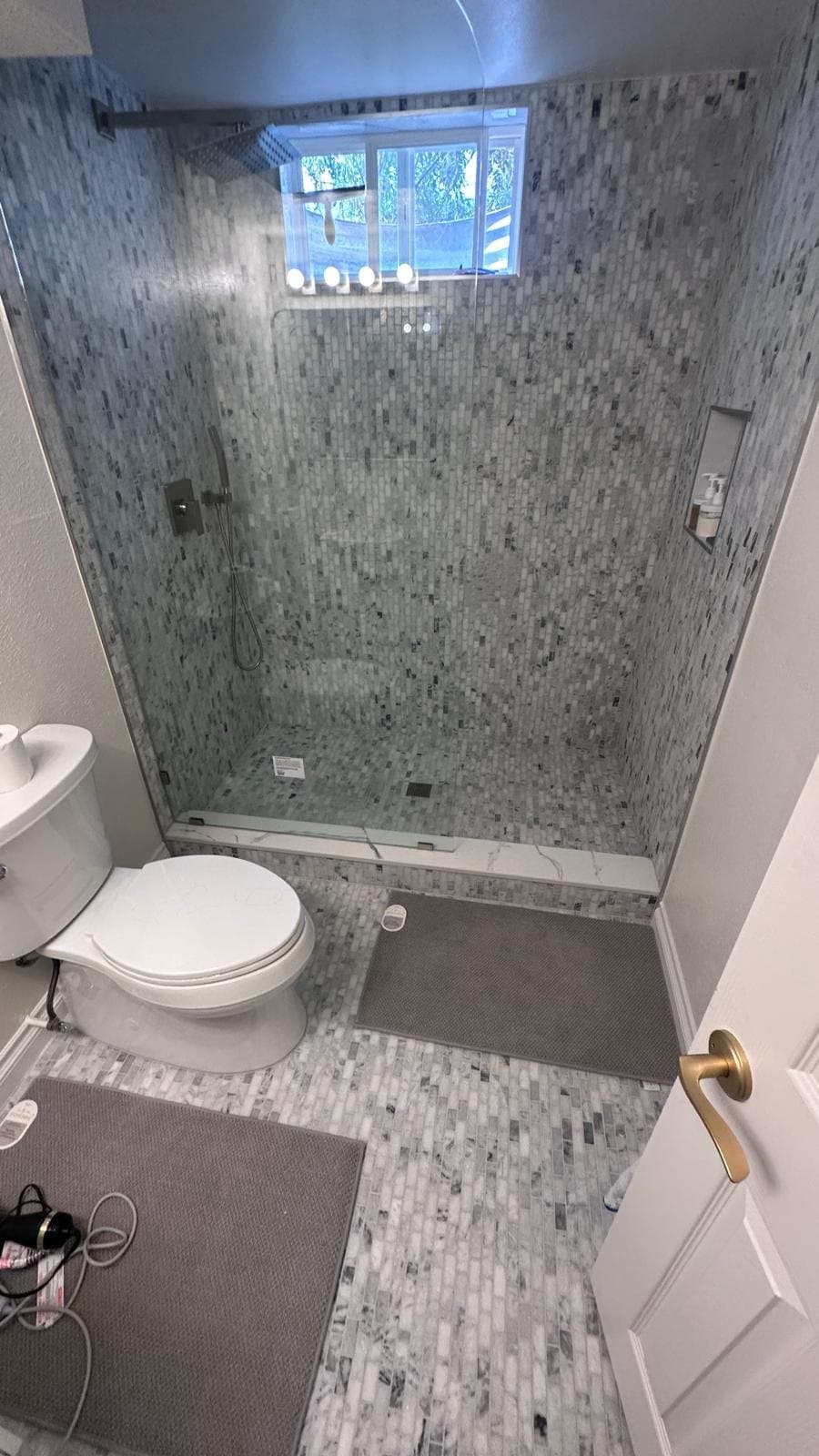 Basement bathroom in Littleton, CO