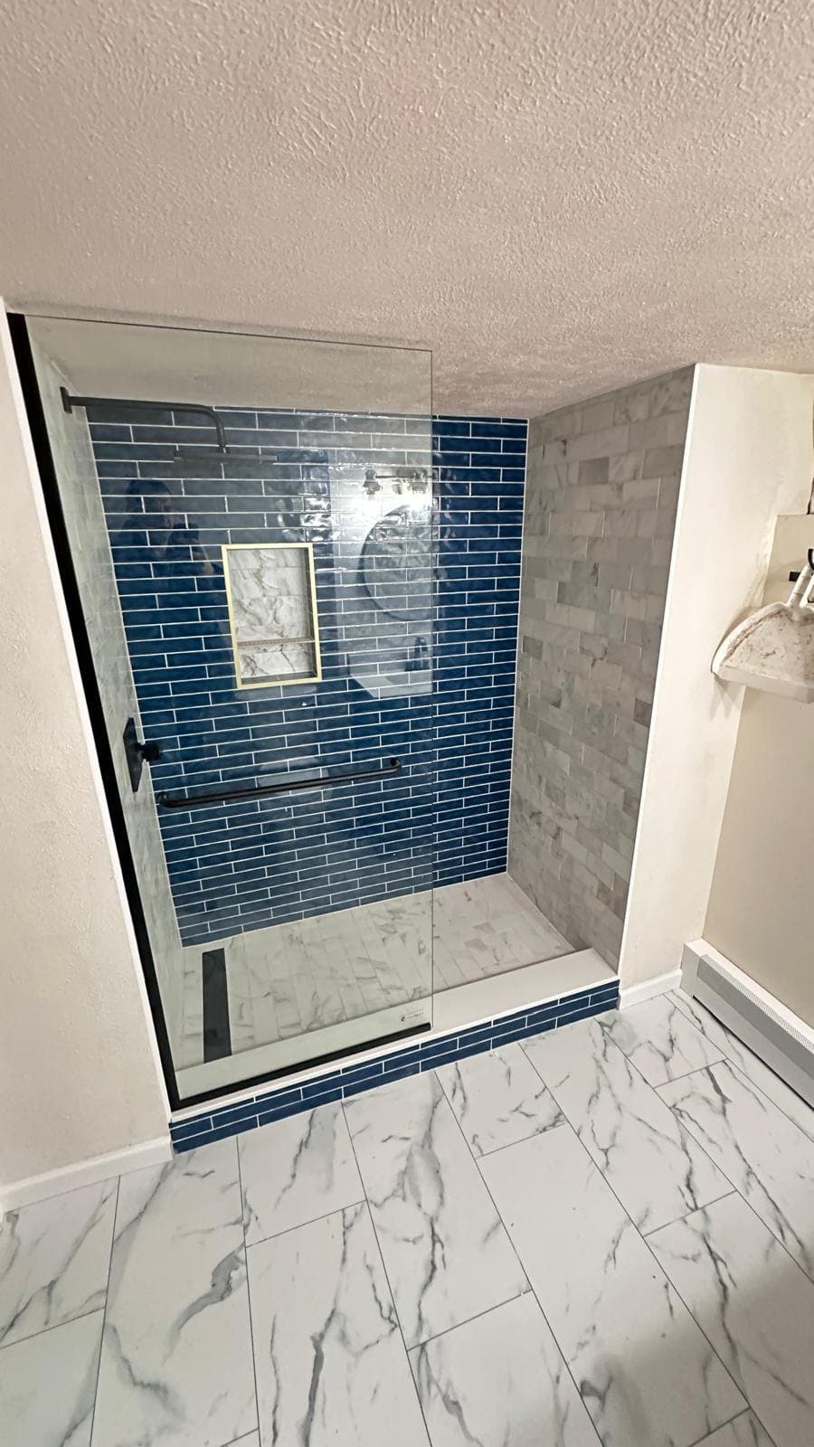 Basement walk-in shower in Aurora, CO